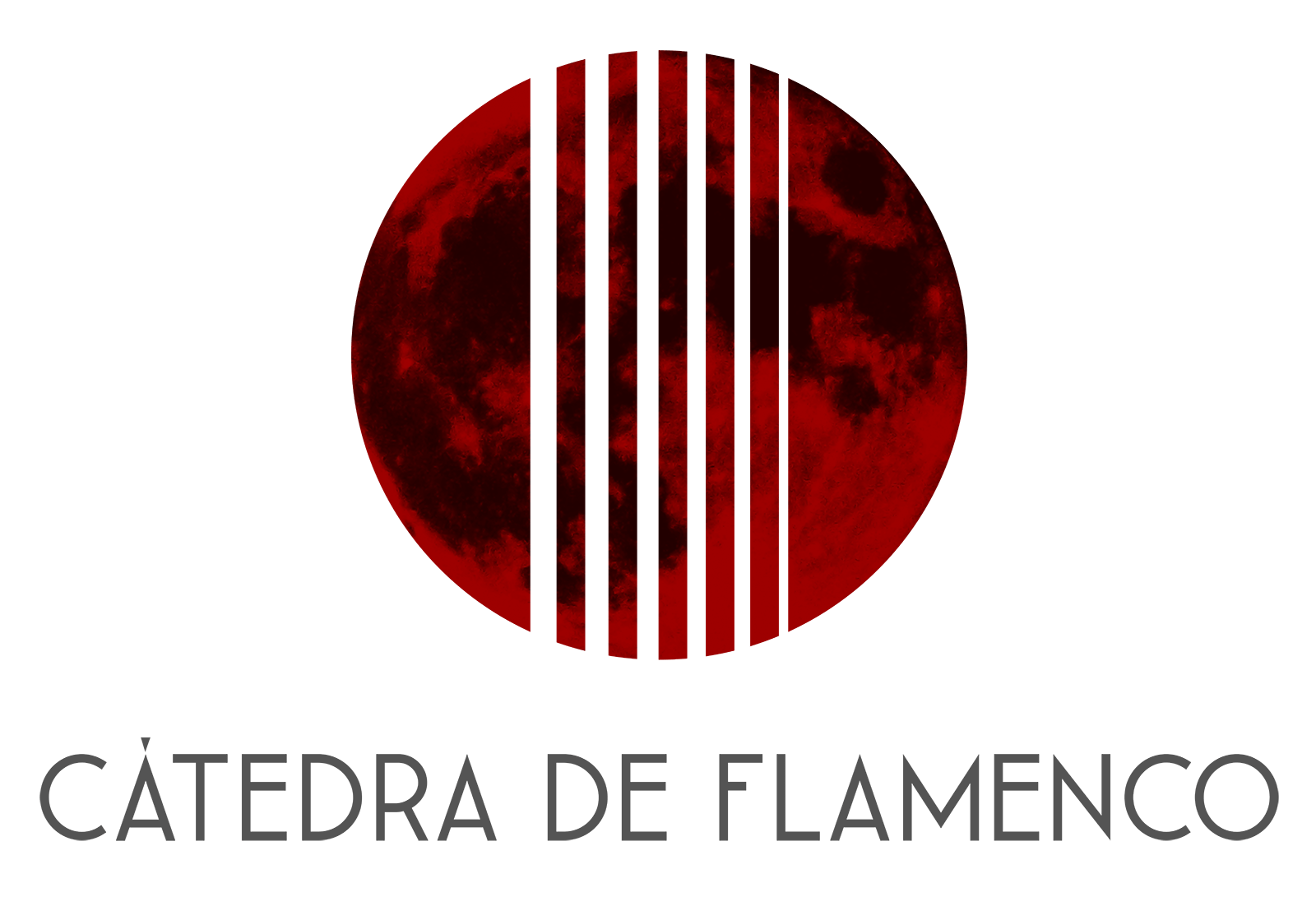 Cátedra de Flamenco